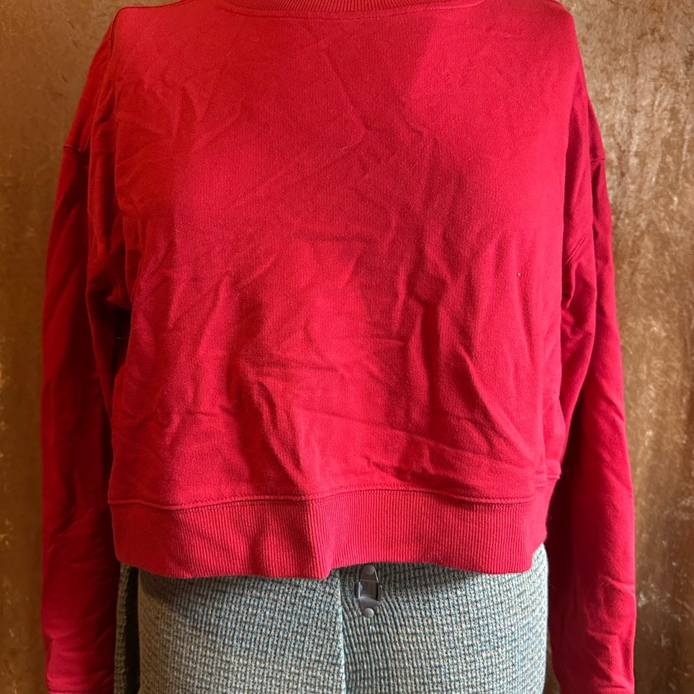 Wild Fable Scarlet Top